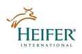 Heifer-International.jpg